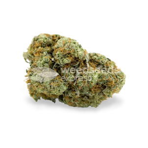 Photo of CBD White Widow Feminized Seeds