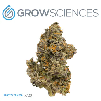 Photo of Banana Cream Cake x Jealousy (3.7)