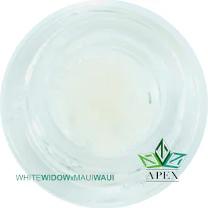 Photo of White Widow x Maui Waui (Apex Black Label)