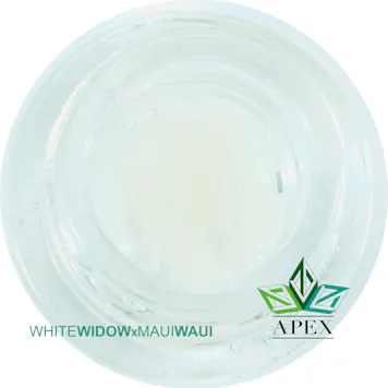 Photo of White Widow x Maui Waui (Apex Black Label)