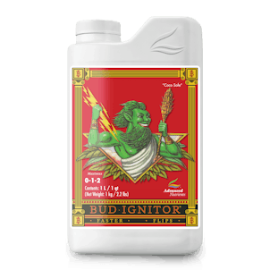 Photo of Bud Ignitor®