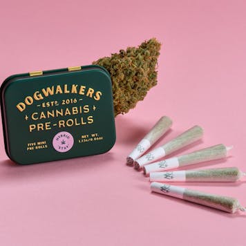 Photo of Banana n Cream Mini Dog Stay Pre-Rolls 1.75g 5-pack