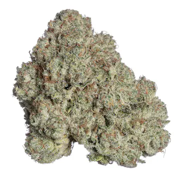 Photo of Sleeping With The Stars