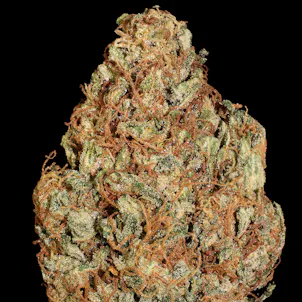 Photo of AUTOMARIA 2