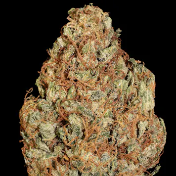 Photo of AUTOMARIA 2