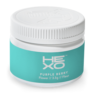 Photo of Purple Berry