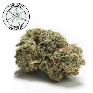 Photo of Moon Puppies