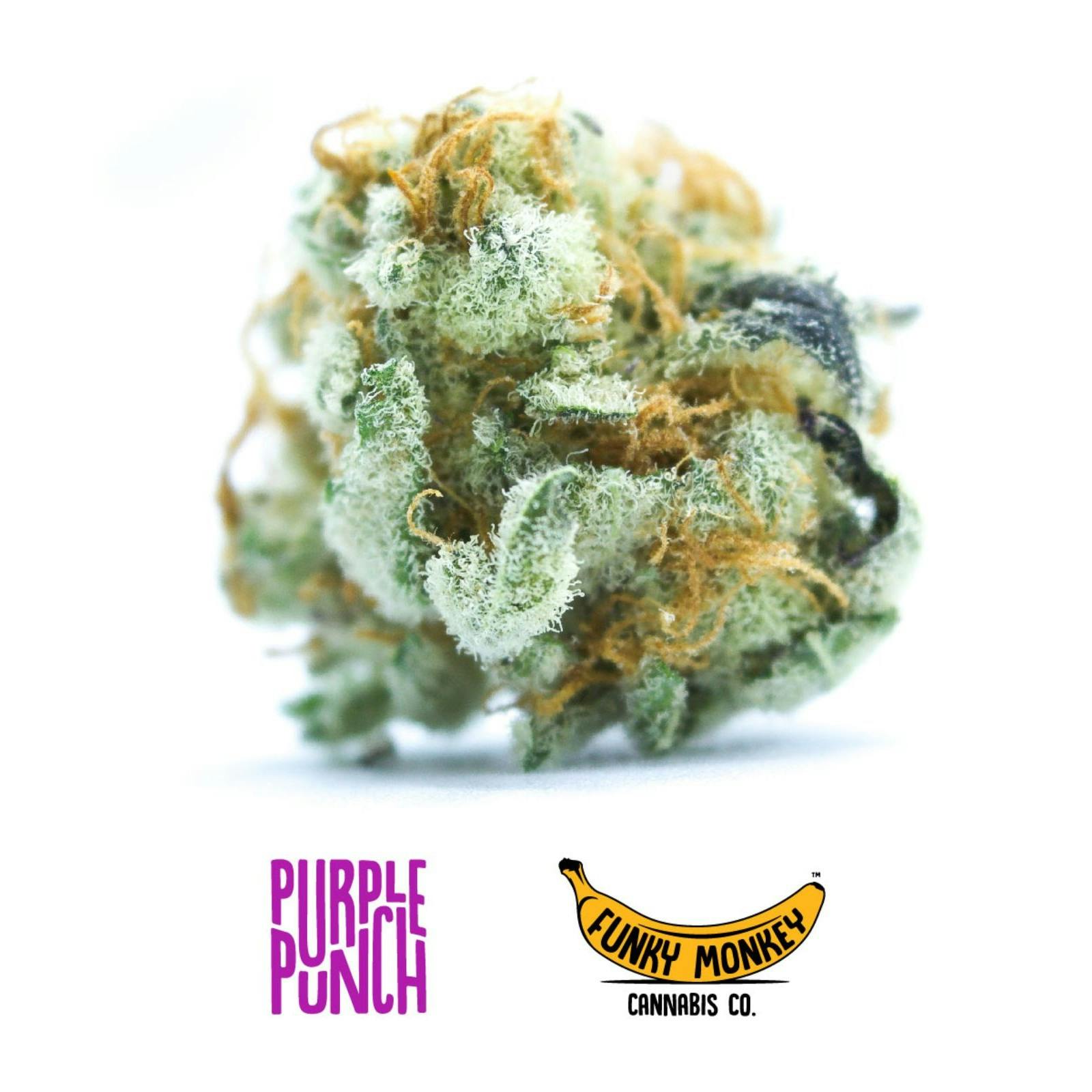 Funky Monkey Cannabis Co. Purple Punch Leafly