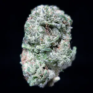 Photo of Island Punch