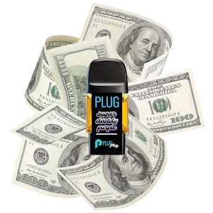 Photo of PLUGPLAY™ | PLUG™ Pod | Washington | Sugar Daddy Purple | 1g