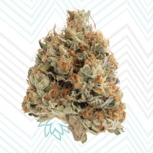 Photo of Chrome Diesel