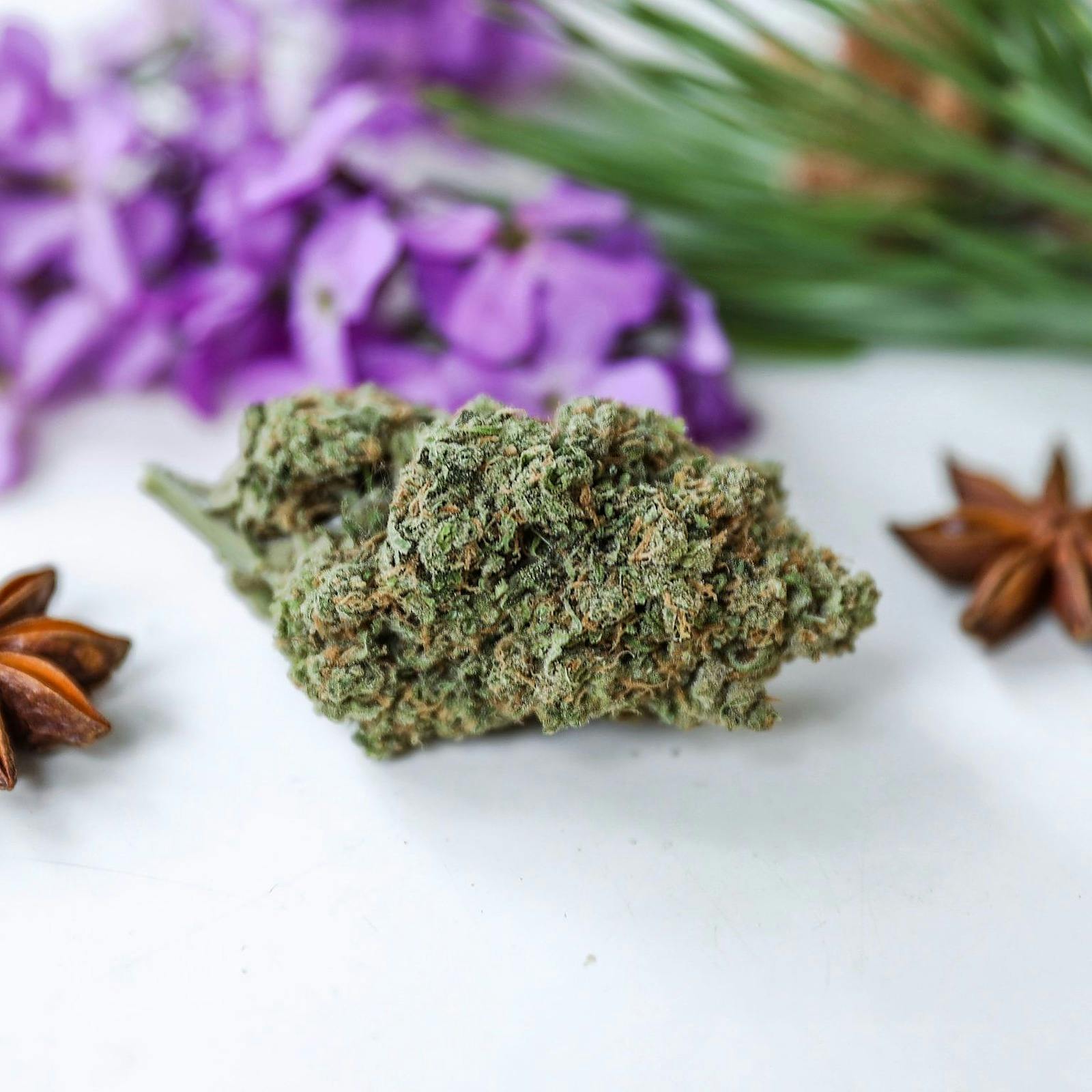 In The Flow Durban Leafly