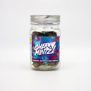 Photo of Cherry Mintz - Platinum Line