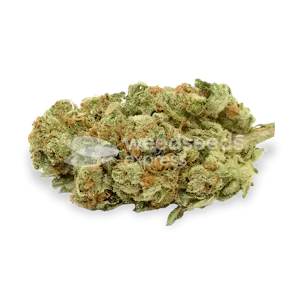 Photo of Gold Leaf Feminized Seeds