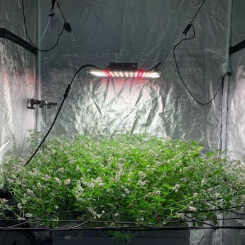 Photo of AeroXPS Pro