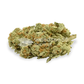 Photo of Gold Leaf Autoflower Seeds