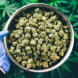 Photo of LIFTER - EIGHTH