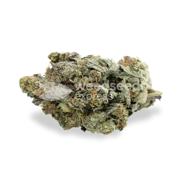 Photo of Black Jack Autoflower Seeds