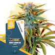 Product image for Sweet Lemon AK by Zamnesia Seeds