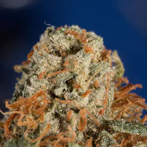 Photo of LA Confidential Pre-Roll 1g