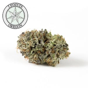 Photo of Master Kush