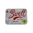 Sativa Cinnamon Mints 100mg 20-pack