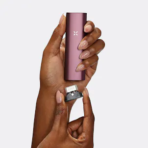 Photo of PAX PLUS - Elderberry