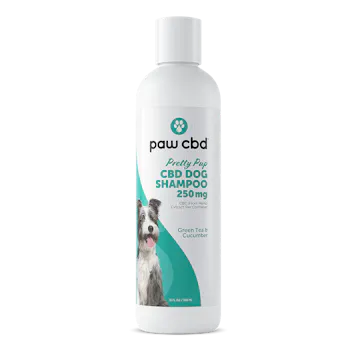Photo of Green Tea and Cucumber CBD Dog Shampoo