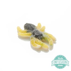 Photo of Spooky Spider (Seasonal)