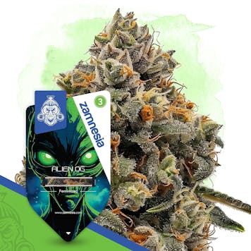 Photo of Alien OG by Zamnesia Seeds