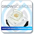 Product image for Pineapple Soda x Sour San Souci Live Hash Rosin Badder (1g)