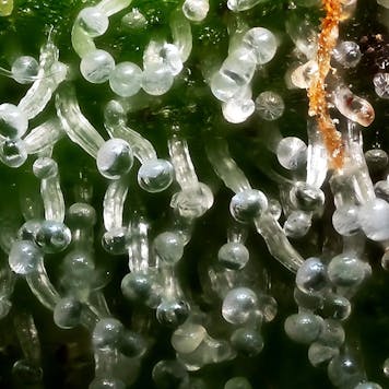 Photo of Bakers Delight