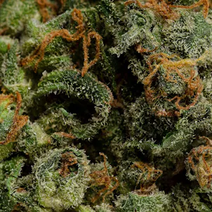 Photo of OS.RESERVE Hybrid