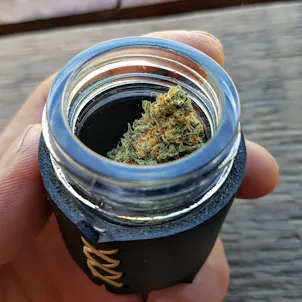 Photo of Trip Longer Gram Jar // Cannabis Storage