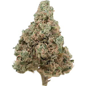 Photo of Headband