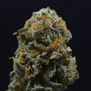 Photo of Headband Flower