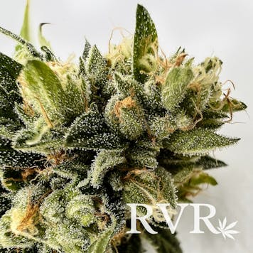 Photo of River Valley OG Kush