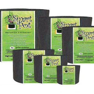 Photo of BLACK SMART POT