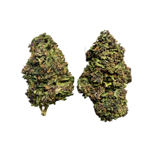 Photo of Purple Hindu Kush CBD Hemp Flower - Green Nursery