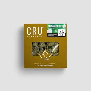 Photo of Triangle Mints 3.5G Hybrid Flower