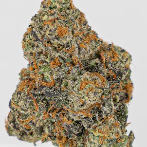 Photo of Gelato x Animal Mints