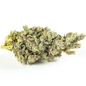 Photo of Havarra Wedding