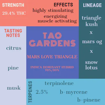 Photo of Mars Love Triangle