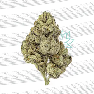 Photo of East Coast Sour Diesel