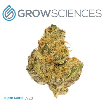 Photo of Strawberries and Cream (3.7)