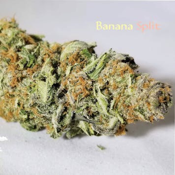 Photo of Banana Split