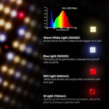 Photo of Spider Farmer® SF1000D LED Grow Light Full Spectrum Samsung Diodes