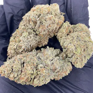 Photo of Miss White CBG