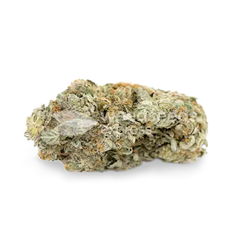 Photo of Gorilla Glue #4 Feminized Seeds