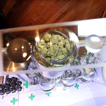 Photo of How To Open a Dispensary Certification Program